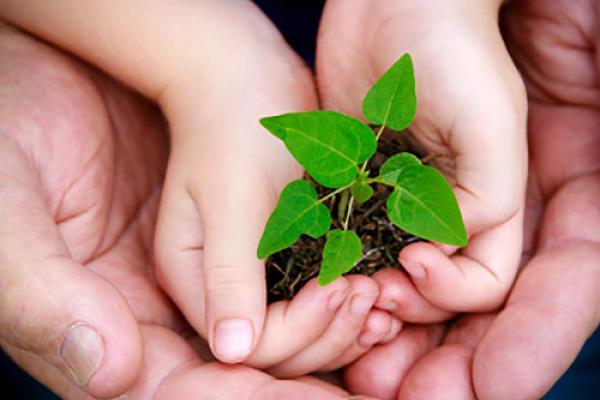 Link to Plants section of our site